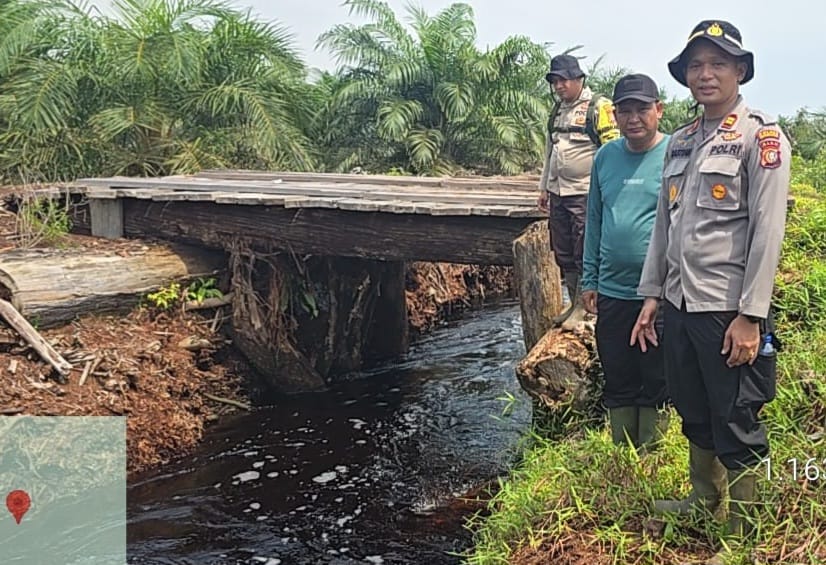 Polsek Siak Kecil Pastikan Tak Ada Aktivitas Pembalakan Liar di Sekitar Cagar Biosfer Bengkalis