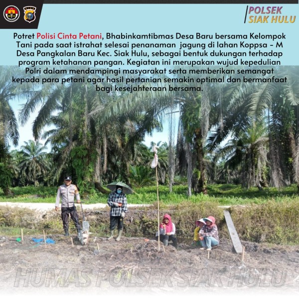 Polisi Cinta Petani, Bhabinkamtibmas Desa Pangkalan Baru Dampingi Kelompok Tani Tanam Jagung Demi Ketahanan Pangan
