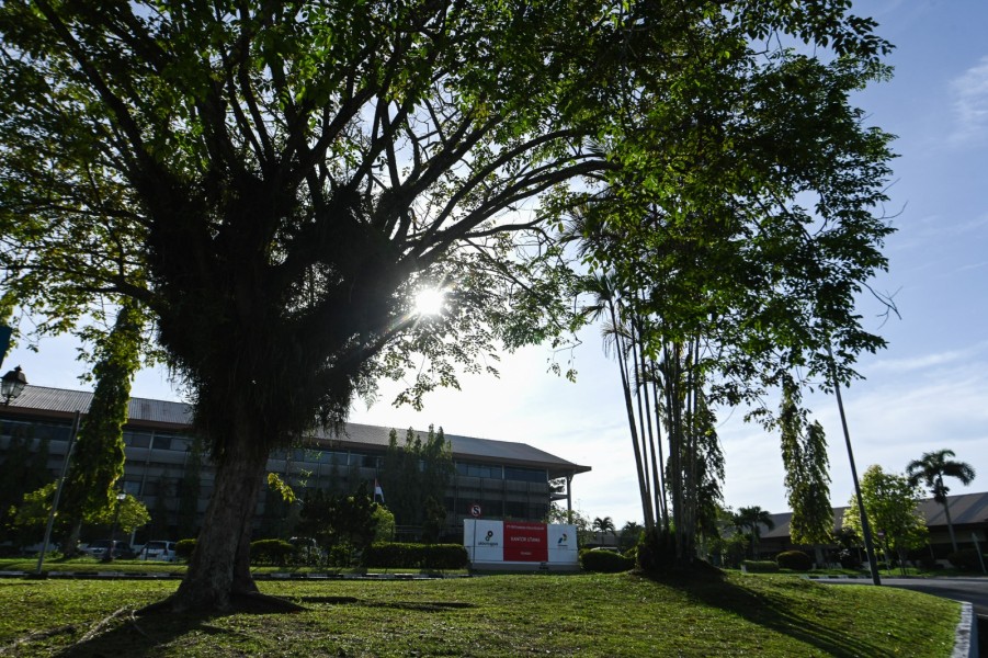 Asrinya Hutan Rumbai PHR, Menjadi Simbol Warisan Alam Yang Harmoni