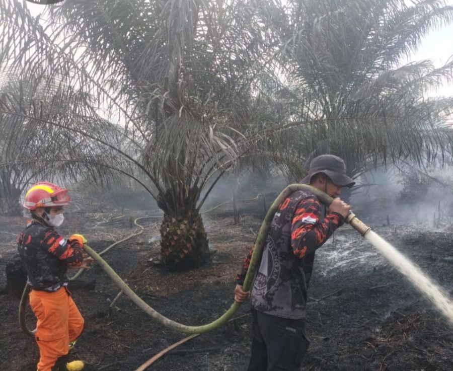 Karhutla di Pelalawan, Semak Belukar dan Kebun Sawit Warga Ludes Dilalap Api
