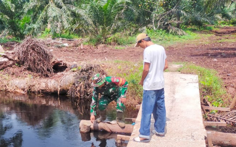 Patroli Karhutla Babinsa di Lubuk Gaung Berjalan Aman dan Kondusif