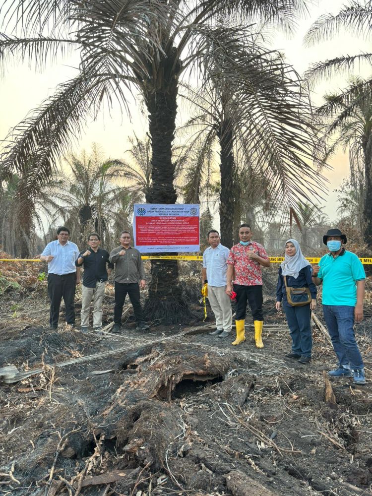 Abai Cegah Karhutla, 4 Perusahaan Sawit Disegel, 1 Pabrik Ditutup