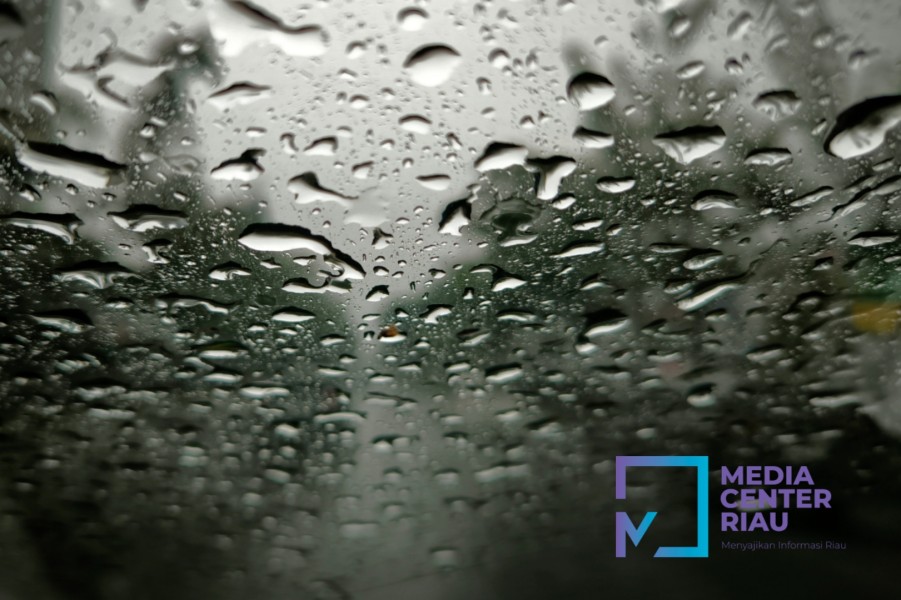 Waspada Hujan Lebat di Riau, Ini Kata BMKG Pekanbaru BMKG Pekanbaru