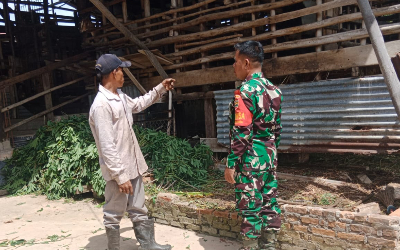 Tips dari Babinsa Koramil 01 dalam Upaya Penanganan PMK di Peternakan