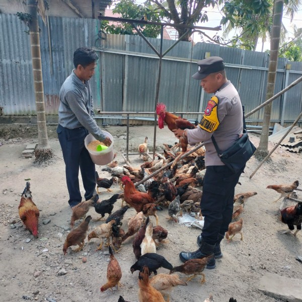 Bhabinkamtibmas Polsek Pasir Penyu Dorong Ketahanan Pangan, Warga Petalongan Kembangkan Pekarangan Jadi Sumber Pangan Keluarga