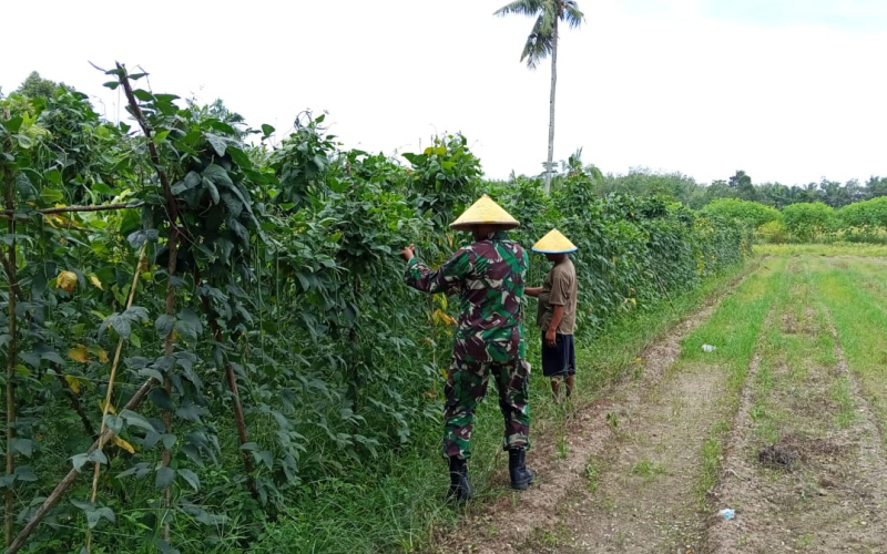 Serka Afnal Alieu Permana Ajak Warga Lubuk Gaung Wujudkan Ketahanan Pangan Tanpa Bakar Lahan
