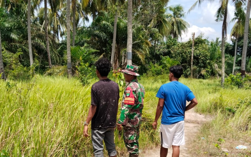 Babinsa Lubuk Gaung Intensifkan Patroli Karhutla, Warga Diajak Tingkatkan Kewaspadaan