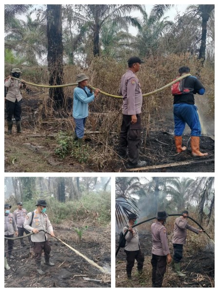 Api Lahap Lahan Gambut, Polsek Pangkalan Kerinci Bergerak Cepat Padamkan Karhutla