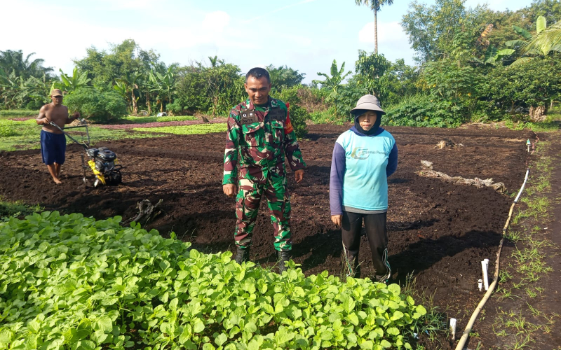Babinsa Serda Priyo Gabungkan Pendampingan Pertanian dan Patroli Karhutla di Dumai Barat