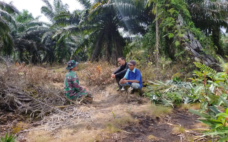Cegah Kebakaran dengan Cara Patroli Rutin oleh Babinsa Bangsal Aceh