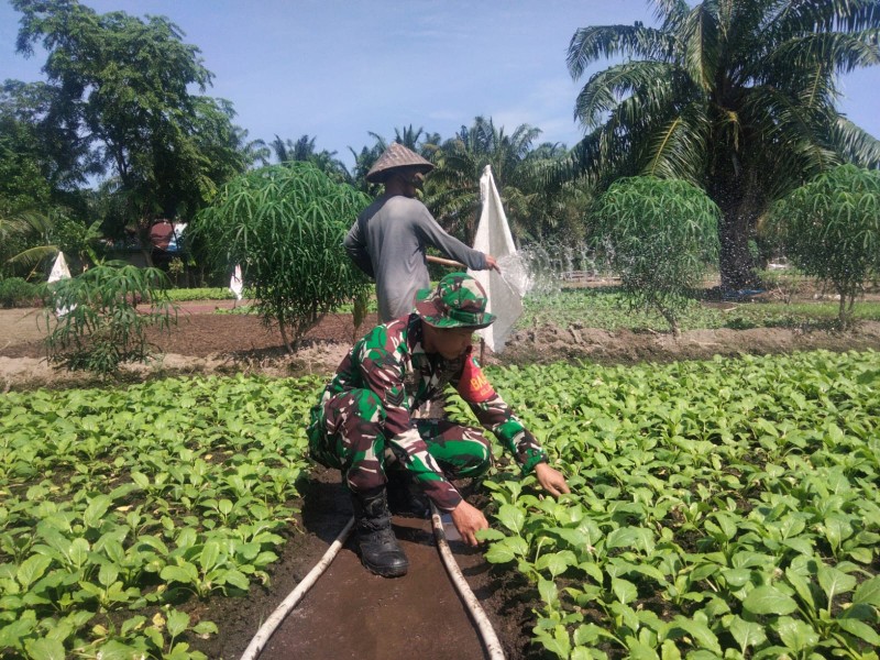 Serka Sugianto Ajak Warga Cegah Karhutla dan Banjir Sambil Perkuat Ketahanan Pangan