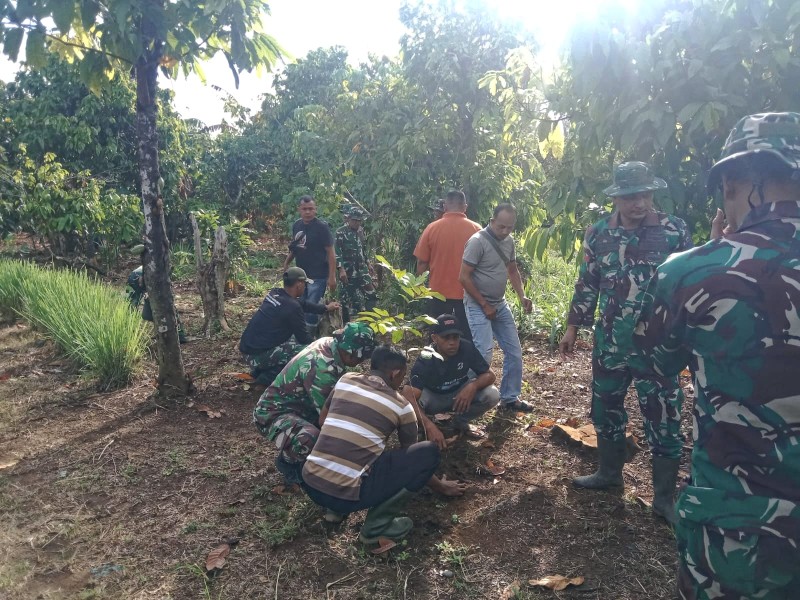 TMMD Ke-129 Kodim 0102/Pidie Dorong Ketahanan Pangan Berkelanjutan Lewat Penanaman Pohon Produktif