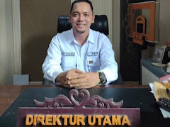 Polemik Parkir di Indragiri Hilir: Dugaan Ketidaksesuaian Tarif dan Minimnya Setoran PAD, IWO Riau Desak Pengawasan dan Transparansi