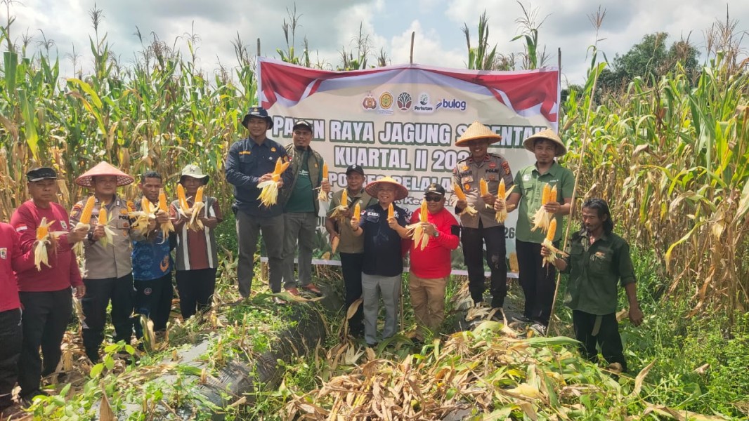 Polsek Teluk Meranti Panen Raya Jagung 1,5 Ton, Bukti Nyata Dukungan Swasembada Pangan 2026