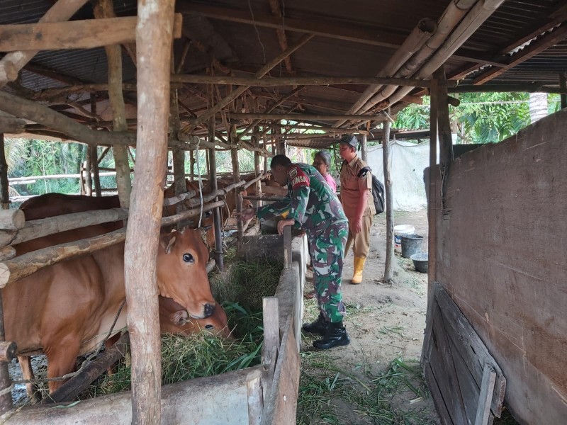 Babinsa Koramil 04/Perawang dan Tim URC Laksanakan Surveilans PMK di Pinang Sebatang