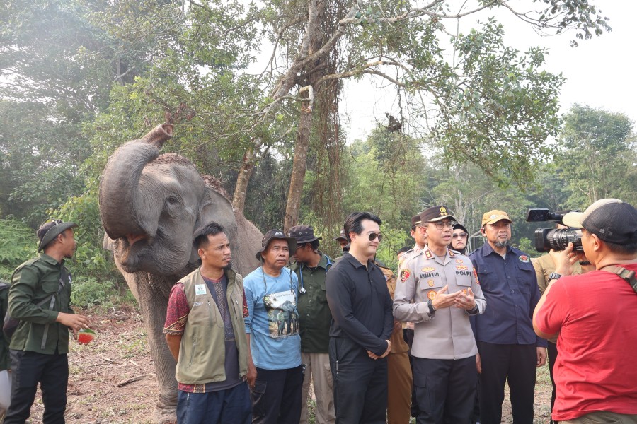 Bayi Gajah Sumatera Lahir di TNTN, Kado Istimewa Sambut Awal Tugas Kapolres Pelalawan AKBP Ahmad Nur Ari