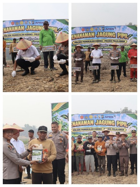 Polres Pelalawan Tanam Jagung Serentak di Lahan 3 Hektare, Dukung Swasembada Pangan 2026