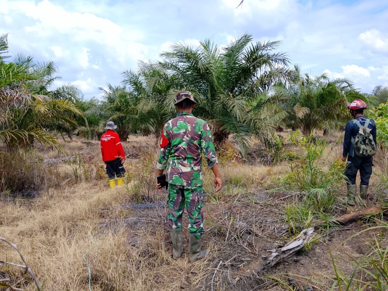 Babinsa Koramil 03/Minas Laksanakan Patroli Karhutla, Pastikan Wilayah Bebas Titik Api