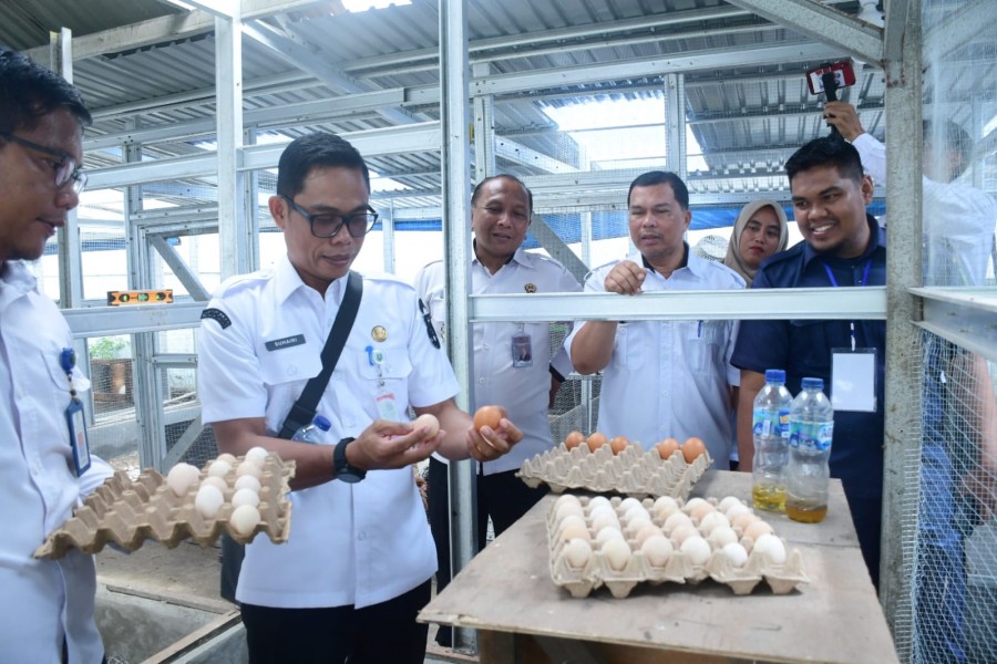 Lapas Bengkalis Dorong Kemandirian Warga Binaan Lewat Pelatihan Budidaya Ayam Petelur