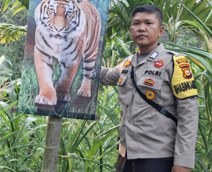 Polsek Minas Cek Perkembangan Jagung Ketahanan Pangan, Tanaman Terkendala Hama Monyet