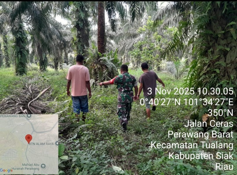 Sertu Venus Luberto Patroli Karhutla di Perawang Barat, Pastikan Tidak Ada Titik Api