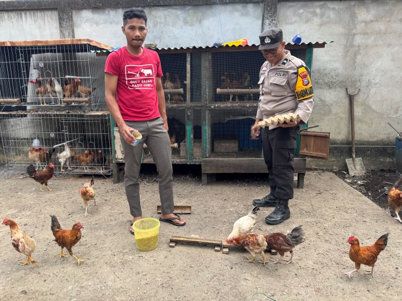 Dukung Swasembada Pangan, Polsek Tanah Merah Sambangi Peternak Ayam