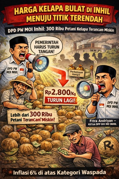 Harga Kelapa Bulat di Inhil Menuju Titik Terendah, DPD PW MOI Inhil: 300,Ribu Petani Kelapa Terancam Miskin