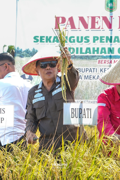Panen Raya Bangkitkan Harapan, Produksi Padi Meranti Capai 6.000 Ton per Tahun