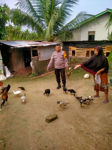 Bhabinkamtibmas Polsek Pasir Penyu Ajak Warga Kembangkan Ternak Ayam Kampung untuk Dukung Ketahanan Pangan