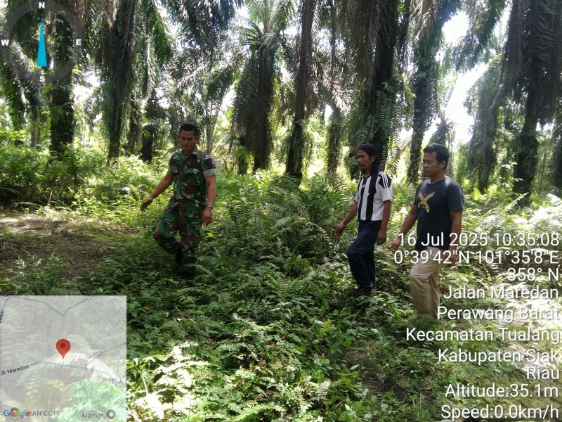 Babinsa Koramil 04/Perawang Laksanakan Patroli Karhutla, Hingga Kini Tak Ditemukan Titik Api