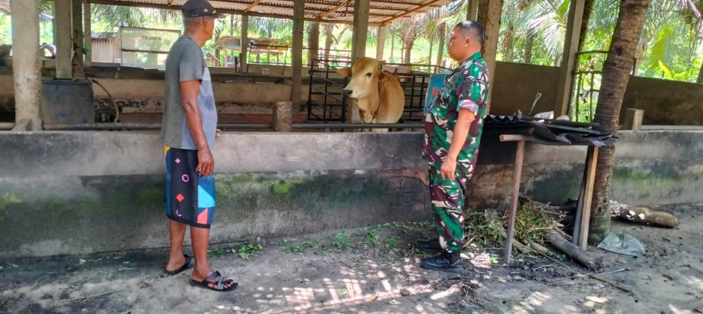 Babinsa Koramil 04/Perawang Laksanakan Surveilence PMK di Kampung Tualang, Hasil Nihil