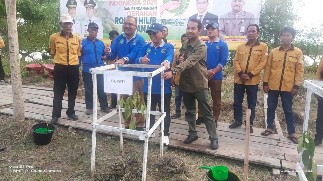 Bupati Rohil Canangkan Gerakan Rohil Menanam, 2.000 Bakau Ditanam di Pesisir Sungai Rokan