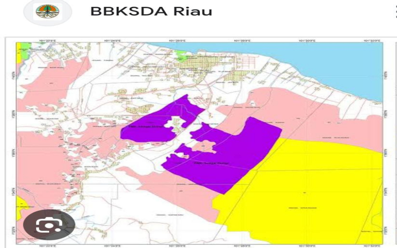 Satgas PKH Jangan Terkesan Tebang Pilih Selain TNTN, TWA Sungai Dumai Segera Ditertibkan