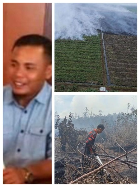 Karhutla di Desa Merbau Bunut Berhasil Dikendalikan, Tim Gabungan Masih Lakukan Pendinginan