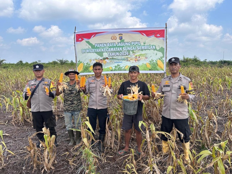 Polsek Sungai Sembilan Panen 1,2 Ton Jagung Pipil, Dukung Program Ketahanan Pangan Nasional