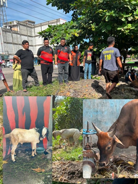 PAC Pemuda Pancasila Dumai Kota Wujudkan Kepedulian Sosial dengan Kurban 1 Sapi dan 2 Kambing
