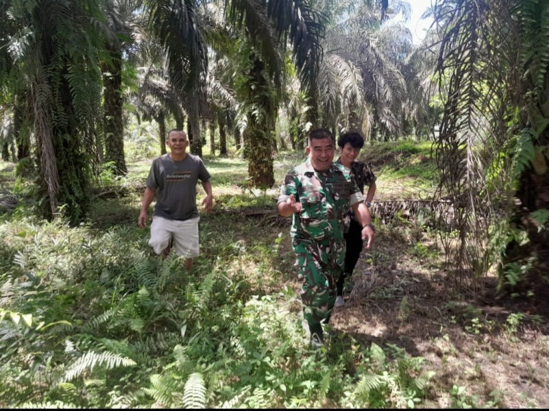 Babinsa Sertu Venus Luberto Pimpin Patroli Karhutla di Perawang Barat, Tidak Ditemukan Titik Api