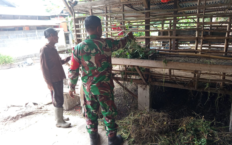 Guna Mencegah Penyebaran PMK, Ini yang Dilakukan Koramil 01