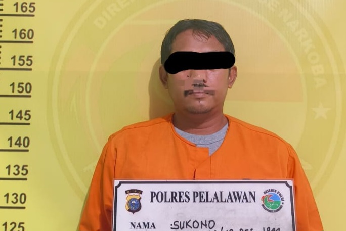 Satresnarkoba Polres Pelalawan Grebek Rumah di Jalan Sepakat, Amankan 56 Paket Ganja Kering