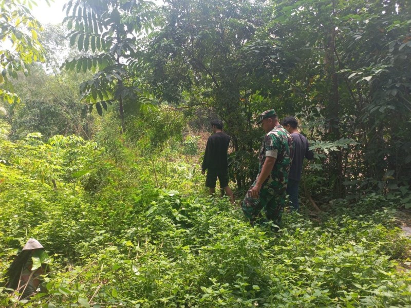 Sertu Venus Luberto Patroli Karhutla di Koto Gasib: Tidak Ditemukan Titik Api Maupun Asap