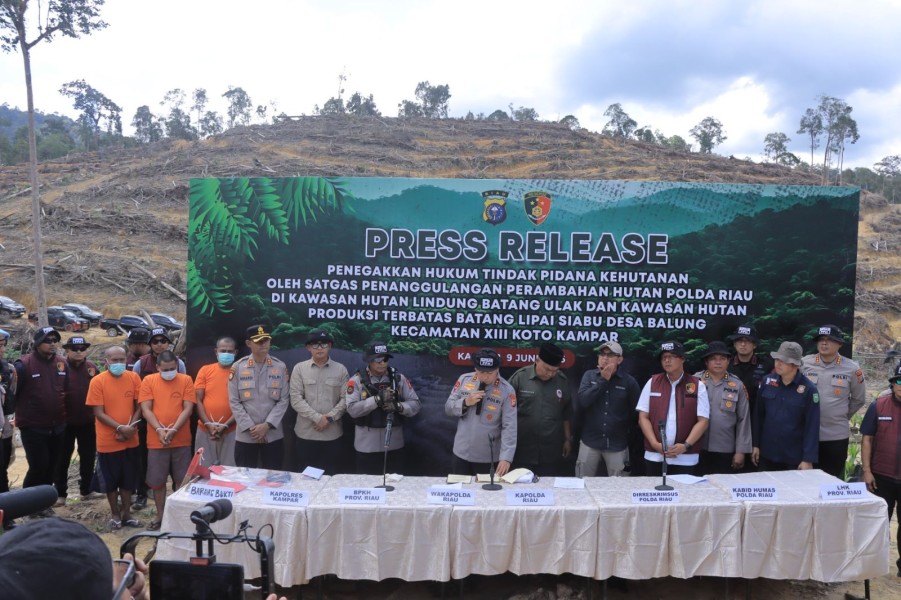 Polda Riau Perang Melawan Perambahan Hutan:  21 Kasus Ditangani, Kapolda Tegaskan Komitmen Lestarikan Alam
