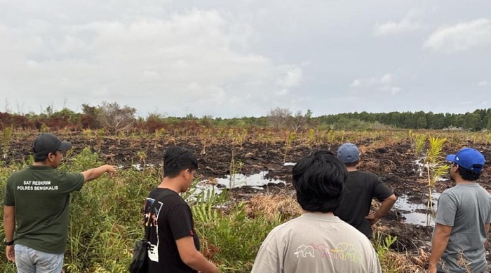 Cuma Gara-gara Tawon, Pria Asal Kampar Ini Picu Kebakaran 3 Hektare Lahan dan Terancam Penjara