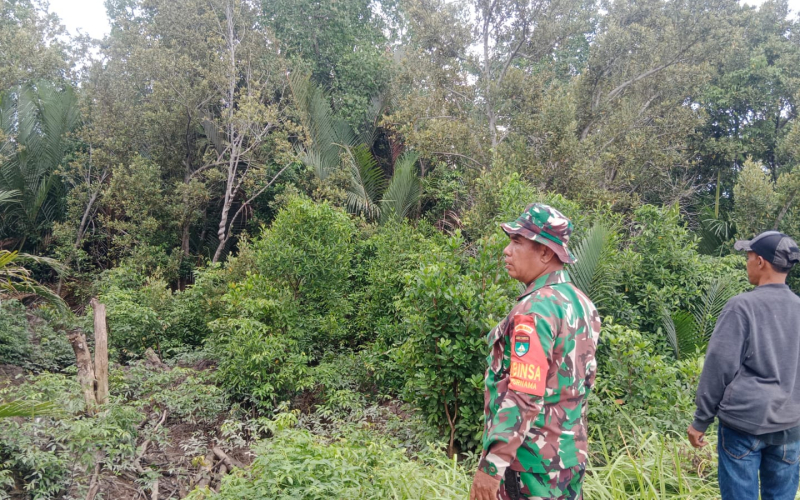 Cegah Karhutla, Babinsa Koramil 01/Dumai Gencarkan Patroli dan Edukasi Warga