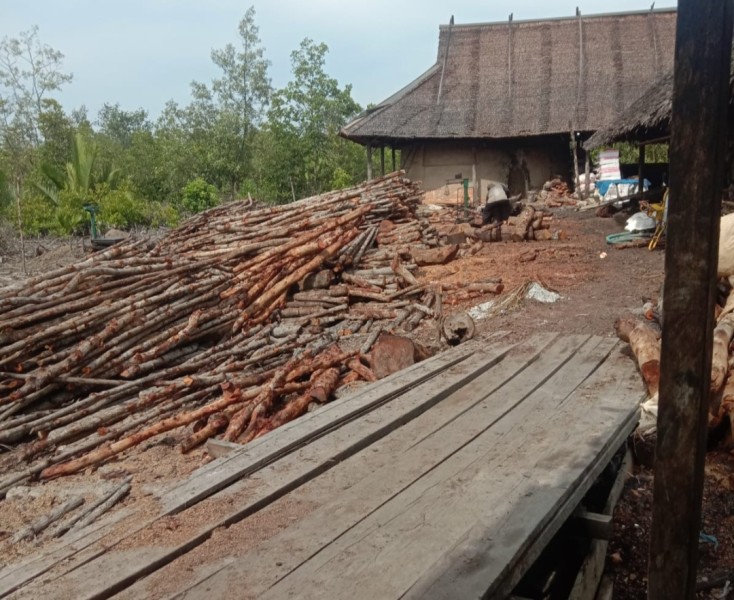 Menanti Mangrove Kepulauan Meranti Punah, Abrasi Luas Mengintai