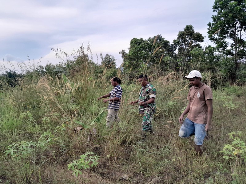 Babinsa Sertu Venus Luberto Laksanakan Patroli Karhutla di Perawang Barat