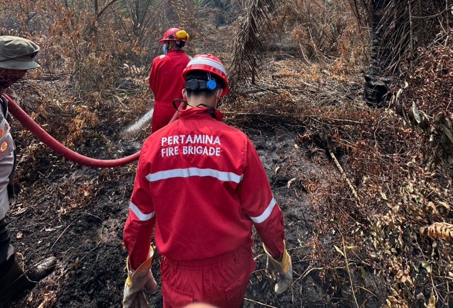 Tim Fire Brigade Pertamina RU II Dumai Berjibaku Padamkan Karhutla
