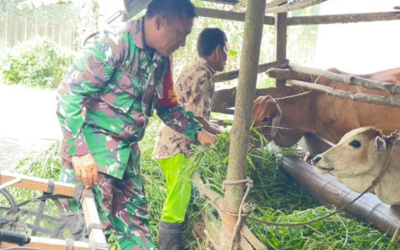 Koramil 02 Cegah PMK, ini Paparannya