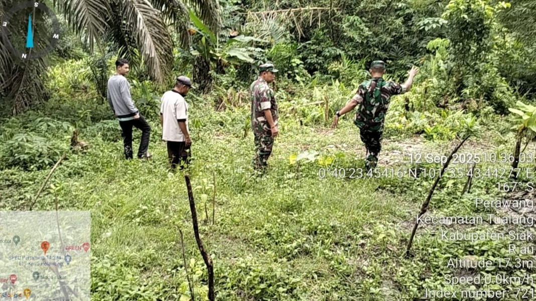 Babinsa Peltu Ramli Nst Laksanakan Patroli Karhutla di Perawang, Pastikan Nihil Titik Api