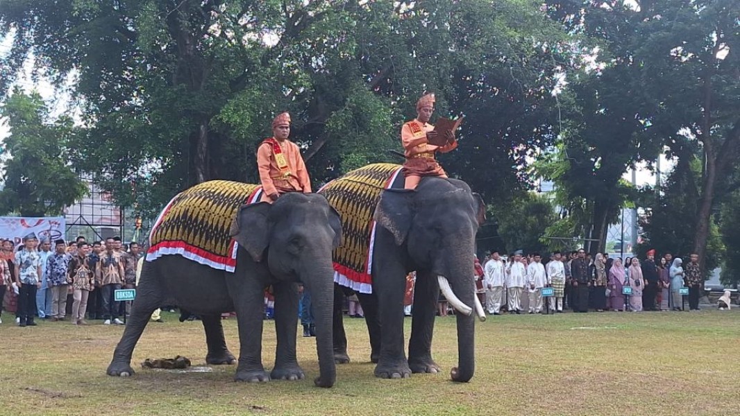Gajah Vera dan Jopi Meriahkan HUT ke-80 RI, Kepala BKSDA Riau: Semangat Kemerdekaan Tidak hanya Soal Manusia...