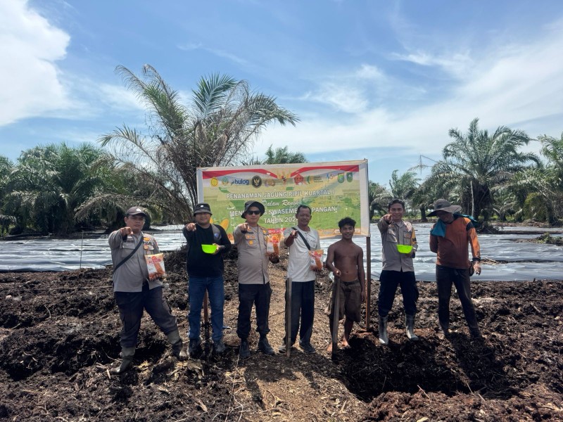 Dukung Ketahanan Pangan Nasional, Polsek Sungai Sembilan Tanam Jagung Pipil 2 Hektare di Batu Teritip